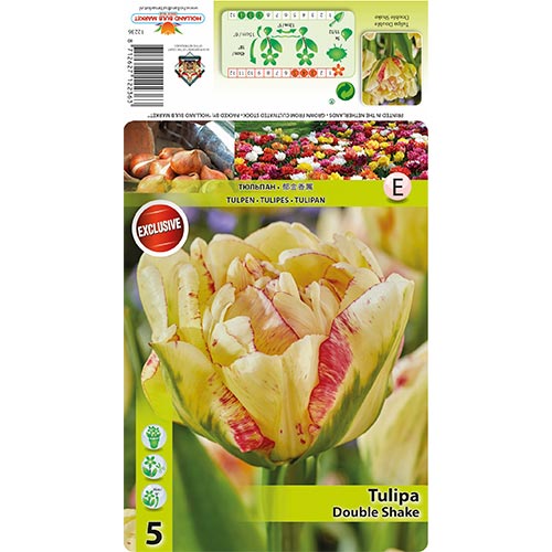 5 none, Tulpe Double Shake - Blumenzwiebeln: Ilość w opakowaniu: 5 none