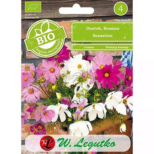 1 szt, Schmuckkörbchen Mischung - Samen: Ilość w opakowaniu: 1 g