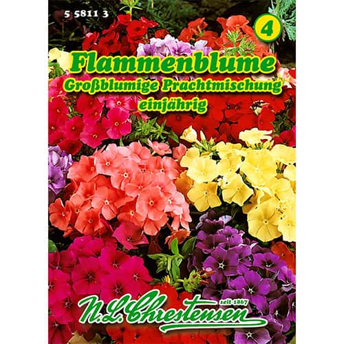 1 szt, Flammenblume Großblumige Prachtmischung - Samen: Ilość w opakowaniu: 1 Stück