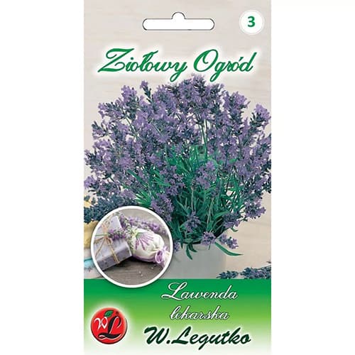 1 szt, Lavendel Legutko - Samen: Ilość w opakowaniu: 0.2 g