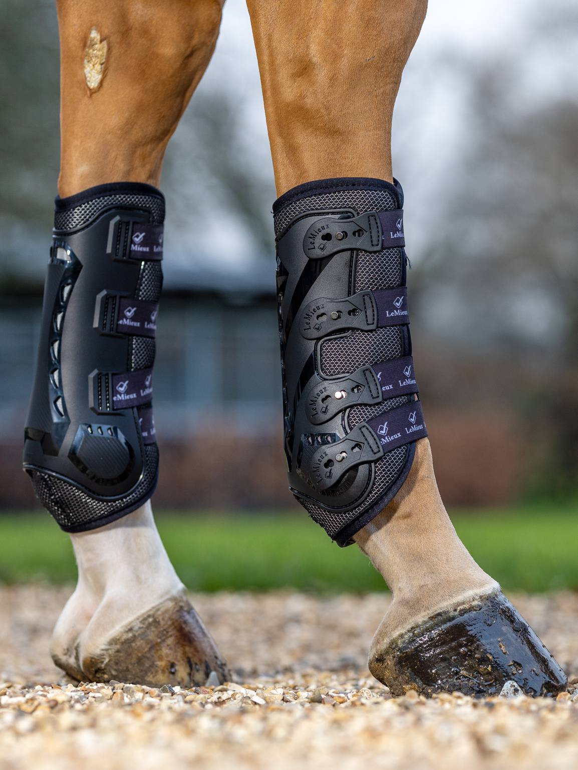 LeMieux LeMieux ochraniacze Ultra Mesh Snug tyły 24h