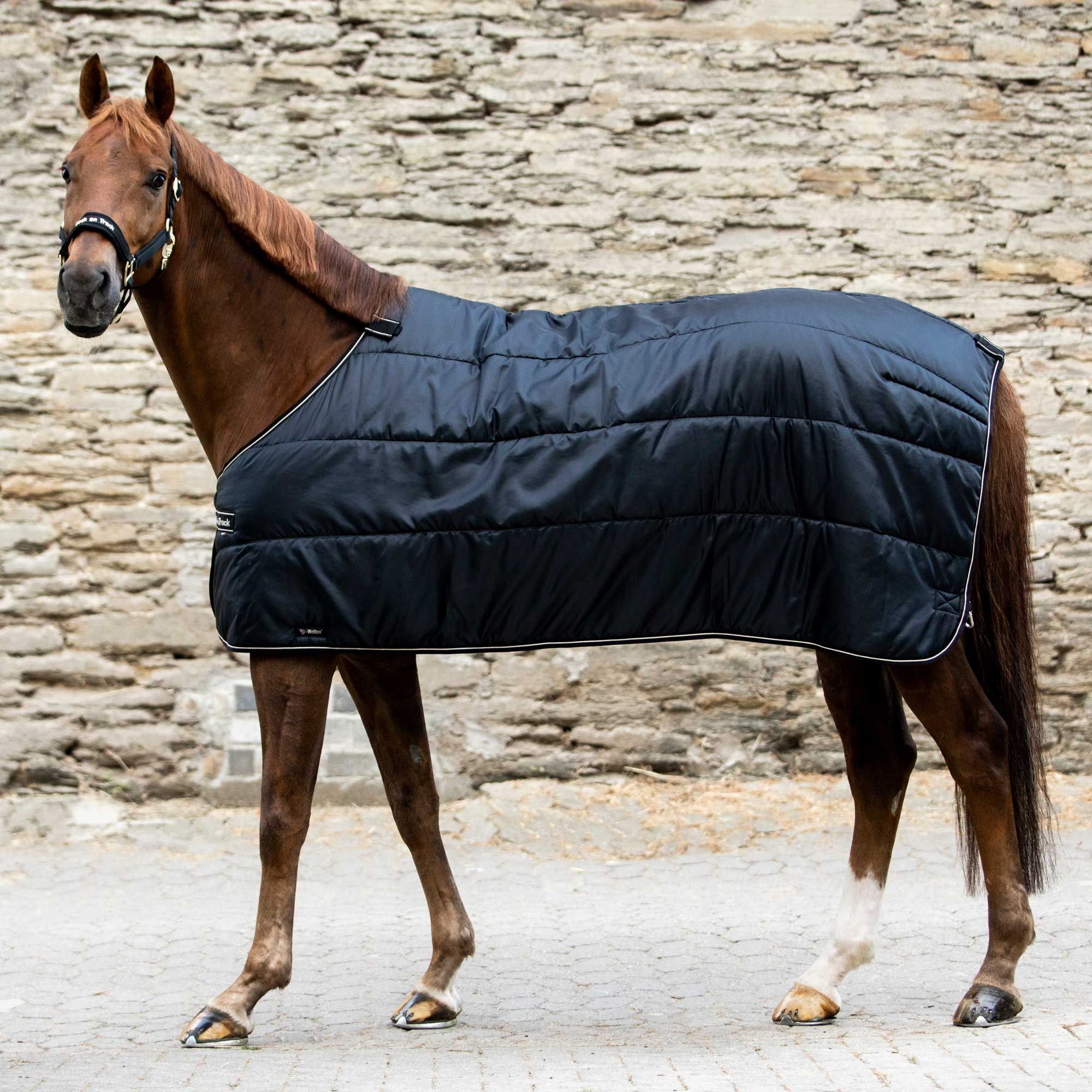 Back on Track Back on Track podpinka Rhyolite 200g pod derkę