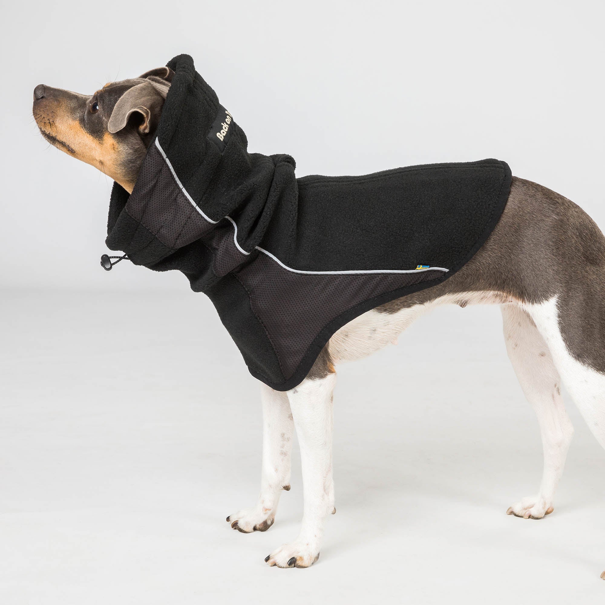 Back on Track Back on Track Benji polarowy kaptur dla psa