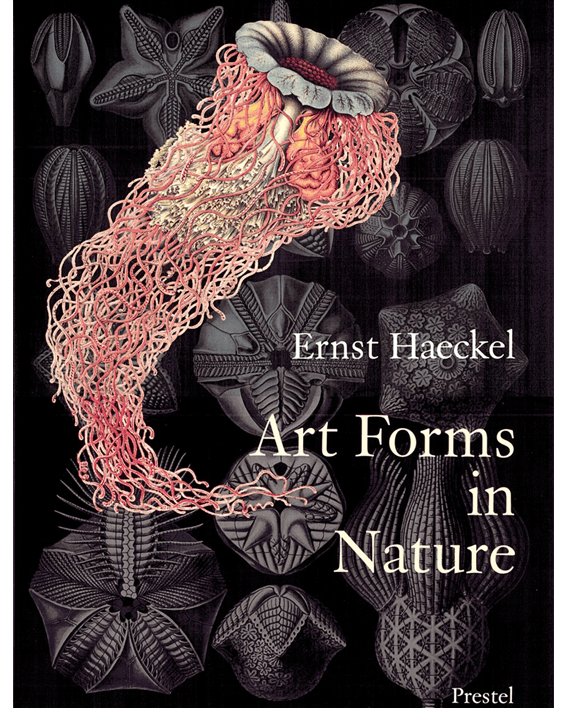Art Forms in Nature. The Prints of Ernst Haeckel