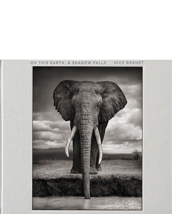 Nick Brandt. On This Earth, A Shadow Falls