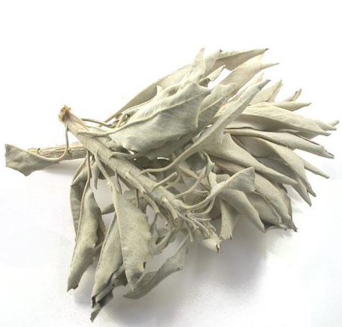 Biała szałwia (susz) 25 g