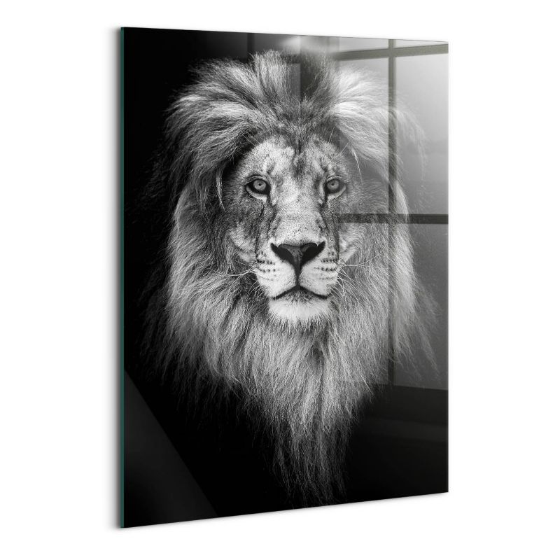 Szklany Obraz Ścienny Wallfluent 70x100 cm Głowa lwa dzikiego kota 1 szt.