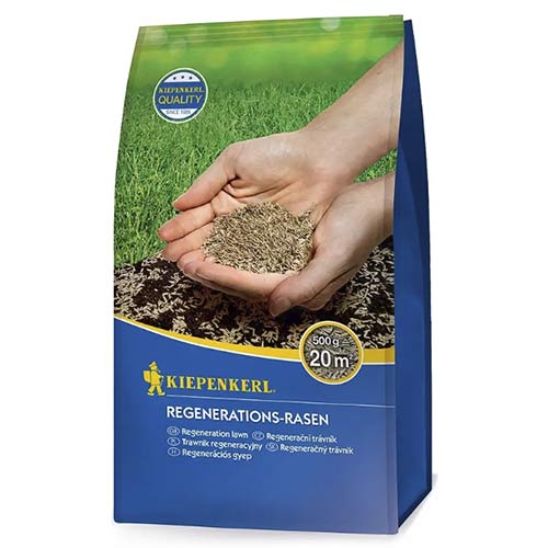 1 szt, Nasiona trawnika do regeneracji 0,5kg - Nasiona: Ilość w opakowaniu: 1 opak