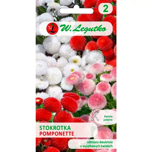 1 szt, Stokrotka pospolita Pomponette, mix - Nasiona: Ilość w opakowaniu: 0.1 g