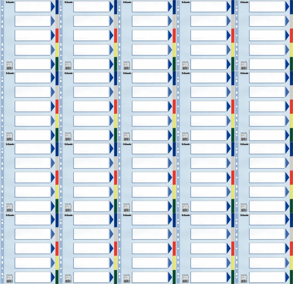 20x Przekładki do segregatora Esselte, plastikowe, A4+, 5 kart, mix kolorów