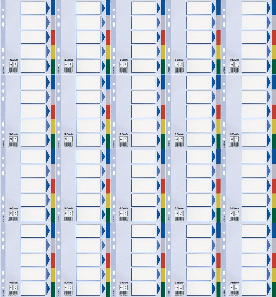 20x Przekładki do segregatora Esselte, plastikowe, A5, 5 kart, mix kolorów