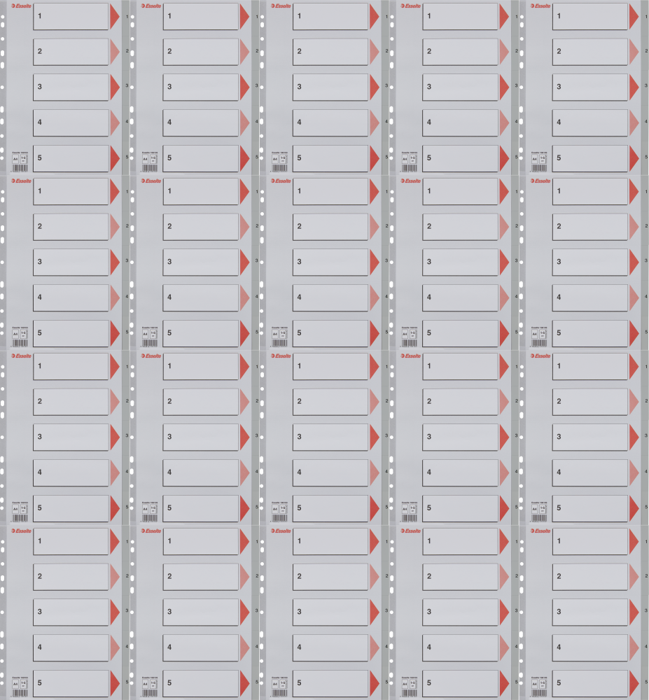 20x Przekładki do segregatora Esselte, plastikowe, numeryczne, A4, 1-5 kart, szary
