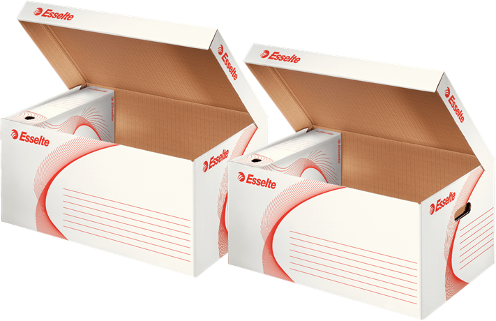 2x Pudło archiwizacyjne zbiorcze Esselte, 550mm, do 5 pudeł 100mm, otwierane od góry, biały