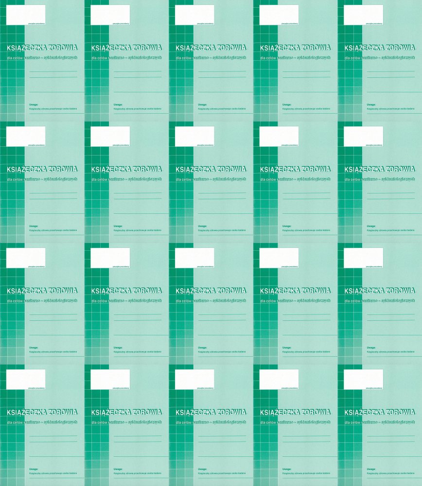 20x Druk akcydensowy Książeczka zdrowia dla celów sanitar-epidemiol. MiP 530-5, A6,offsetowy,8k