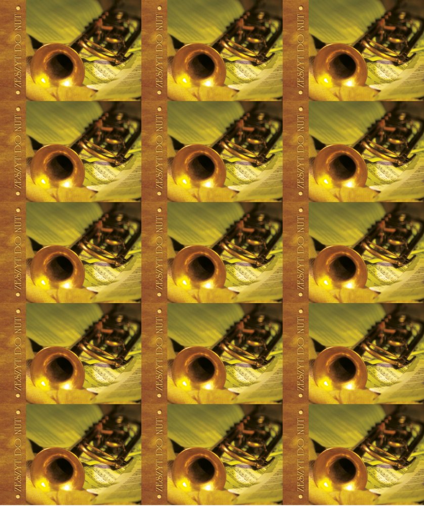 15x Zeszyt do nut Kreska, A5, 16 kartek, mix wzorów