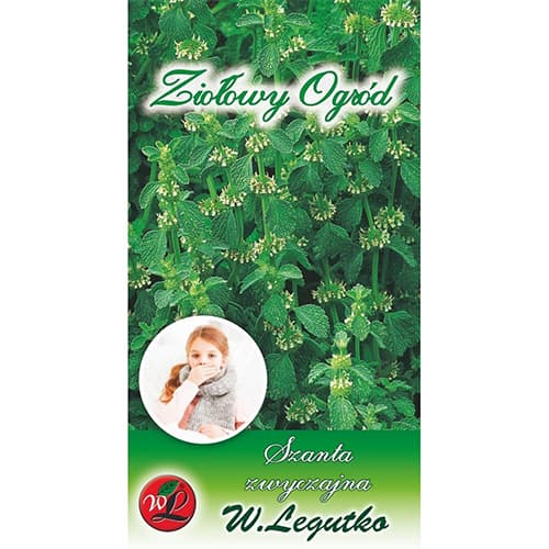 1 szt, Gewöhnlicher Andorn - Samen: Ilość w opakowaniu: 0.1 g