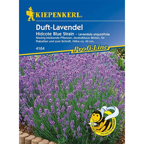 1 szt, Duft - Lavendel Hidcote Blue Strain - Samen: Ilość w opakowaniu: 1 Stück