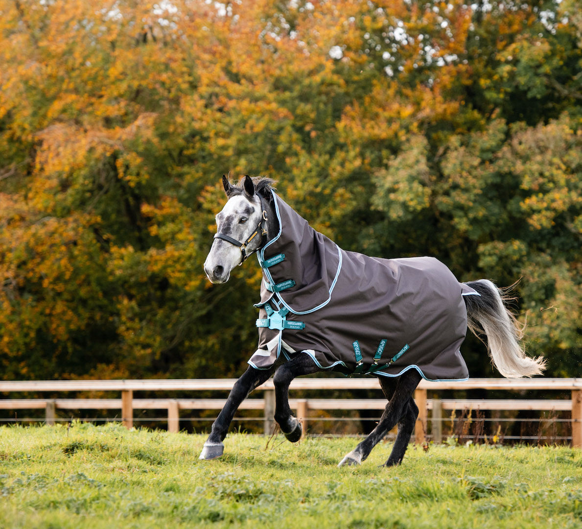 Horseware Horseware derka padokowa z kapturem Amigo Bravo 12 Plus 250g 24h