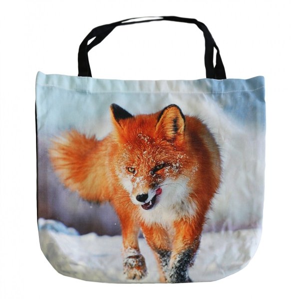 Siatka Foto JEDEKA roz. 45x42 wz. 03 Lis