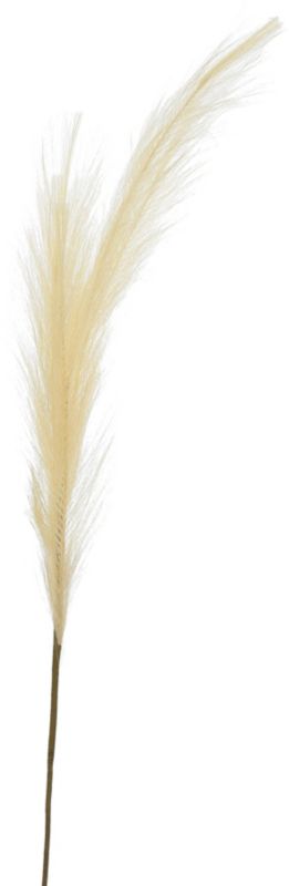 Trawa pampasowa Jumi kremowa 80 cm