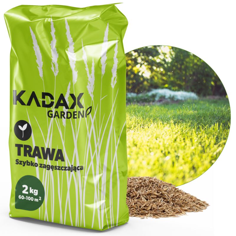 Trawa KADAX Uniwersalna szybko Zagęszczająca 2kg 80m2 1szt.