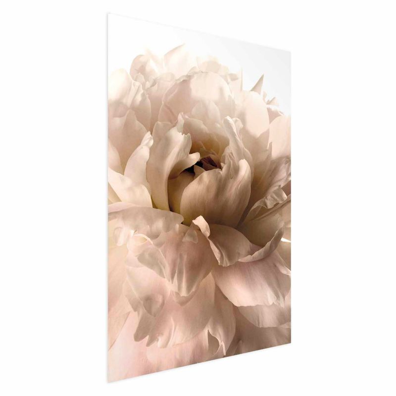 Plakat Artgeist Miękkie płatki 60x90 cm bez ramy 1 szt