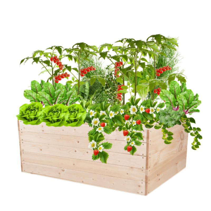 Inspekt warzywny MODO24 grządka naturalne drewno 45x120x90 cm 1 szt.