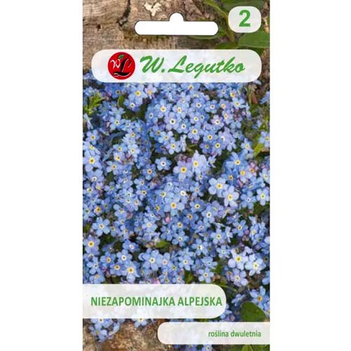 1 szt, Niezapominajka niebieska - Nasiona: Ilość w opakowaniu: 0.3 g