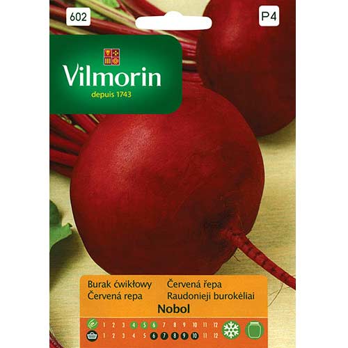 1 szt, Burak ćwikłowy Nobol Vilmorin - Nasiona: Ilość w opakowaniu: 8 g