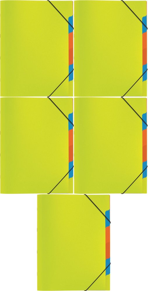 5x Teczka z przegródkami Pagna, A4, 5 przekładek, zielony