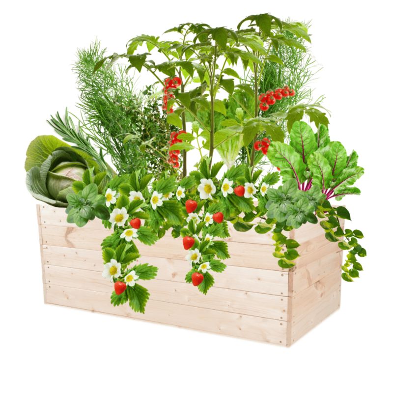 Warzywnik MODO24 grządka impregnowana przeźroczysta 45x120x80 cm 1 szt.