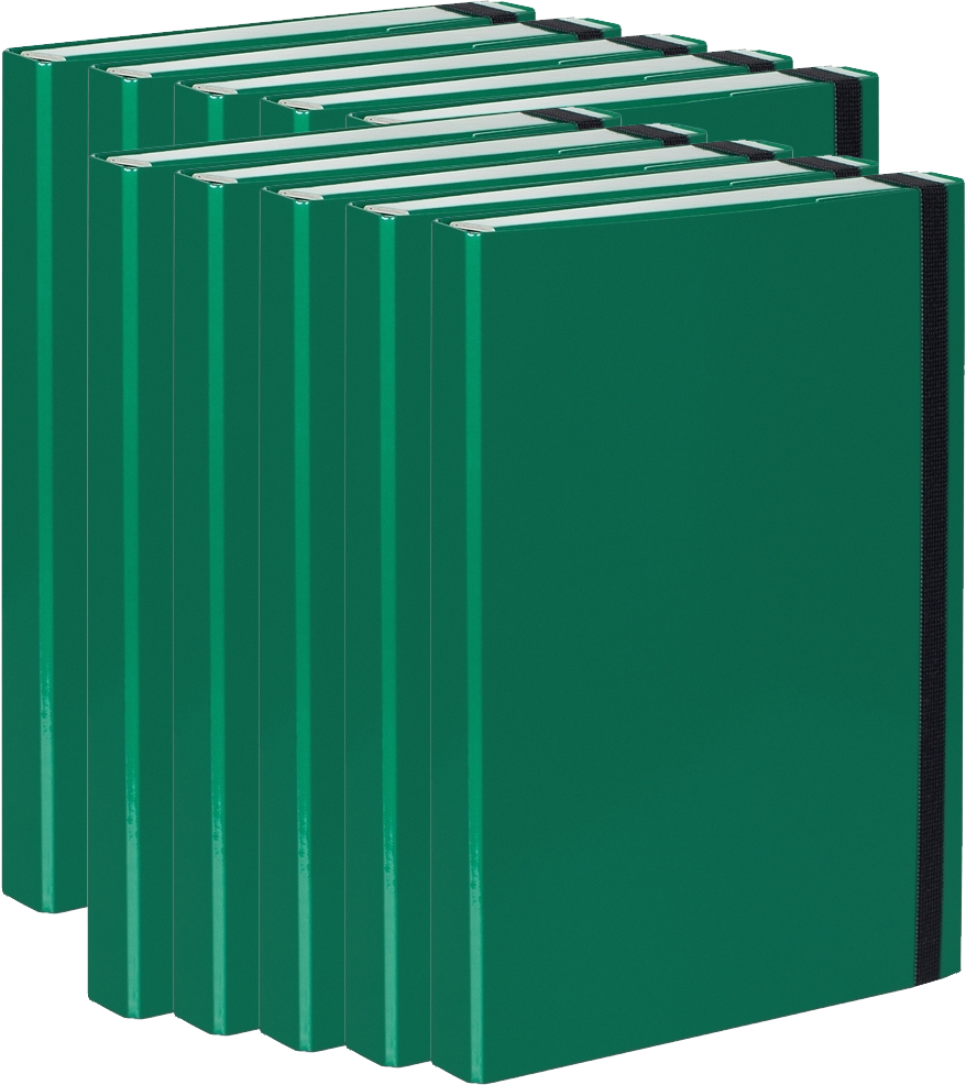 10x Teczka kartonowa z gumką VauPe Box z mechanizmem ringowym, A4, 30mm, zielony