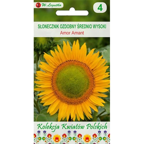 1 szt, Sonnenblume Amor Amant - Samen: Ilość w opakowaniu: 1 g