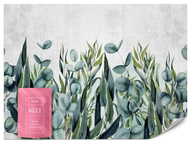 Fototapeta Muralo Liście Eukaliptusa na Betonie 250x175 cm 1szt.