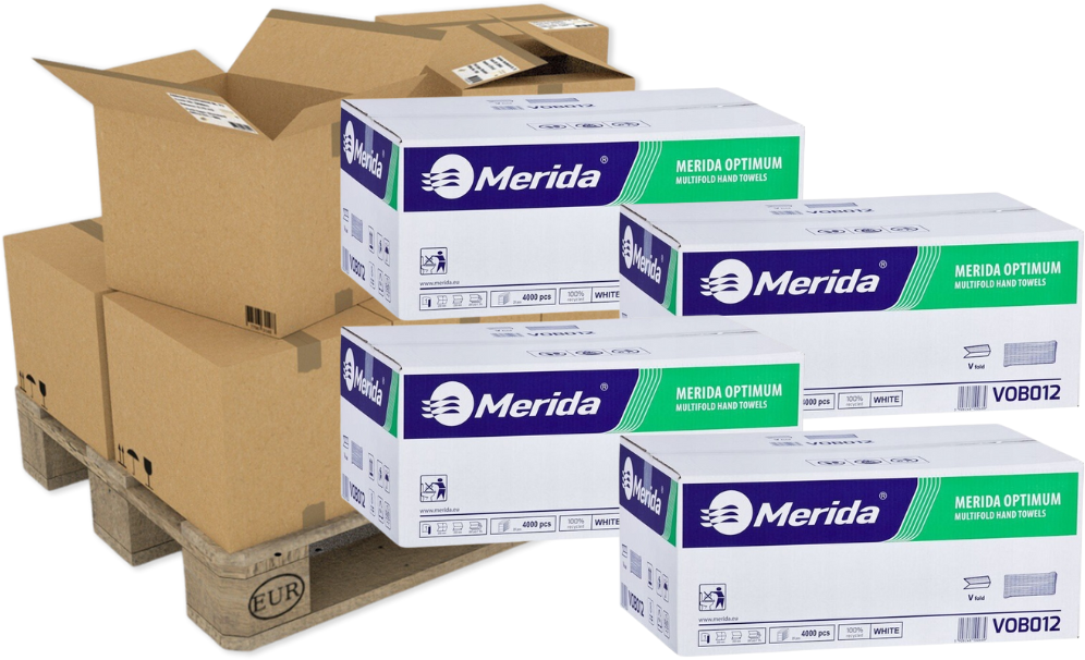 480x Ręcznik papierowy Merida, jednowarstwowy, w składce V, 200 składek, biały