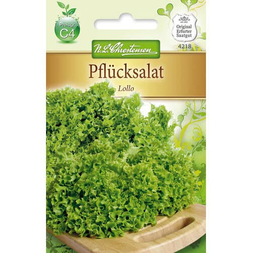 1 szt, Pflücksalat Lollo - Samen: Ilość w opakowaniu: 1 Stück