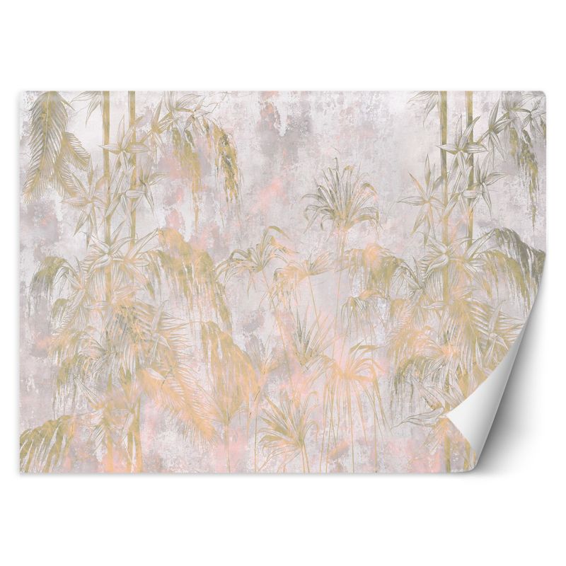 Fototapeta Feeby Dżungla liście rośliny beton 250x175 1 szt