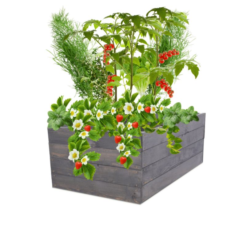 Donica na warzywa MODO24 grządka szara impregnacja 36x83x80 cm 1 szt.