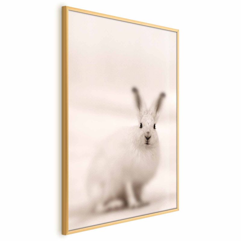 Plakat Artgeist Strachliwe spojrzenie 21x30 cm z ramą złotą 1 szt