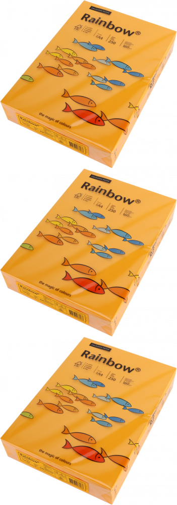 3x Papier kolorowy Rainbow, A4, 160g/m2, 250 arkuszy, pomarańczowy jasny (R22)