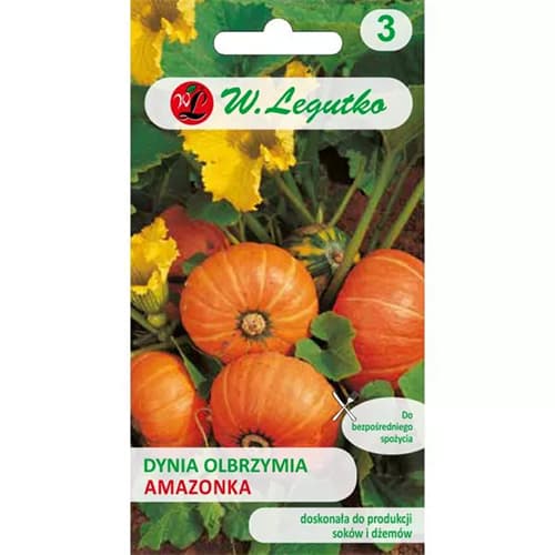 1 szt, Tök gigant Amazon - Magok: Mod de ambalare: 3 g