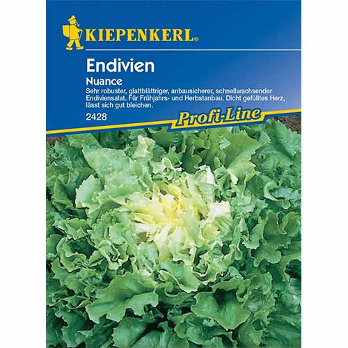 1 szt, Endivie Nuance - Samen: Ilość w opakowaniu: 1 Stück