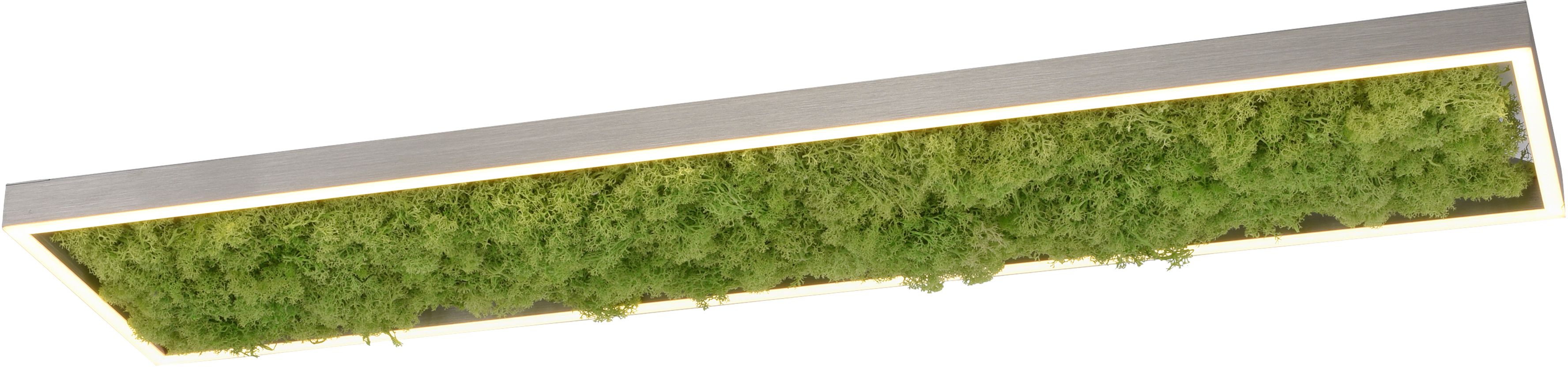 Just Light Green Knut plafon 1x25W zielony 15623-66