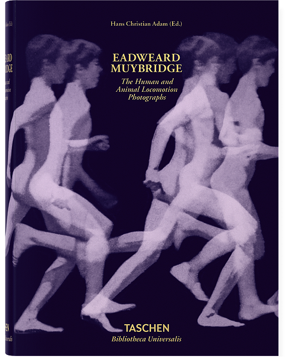 Muybridge. The Human and Animal Locomotion Photographs