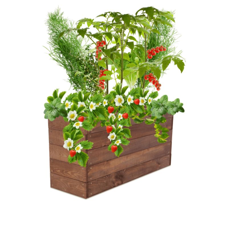 Warzywniak MODO24 grządka podwyższona brązowa impregnacja 45x103x30 cm 1 szt.