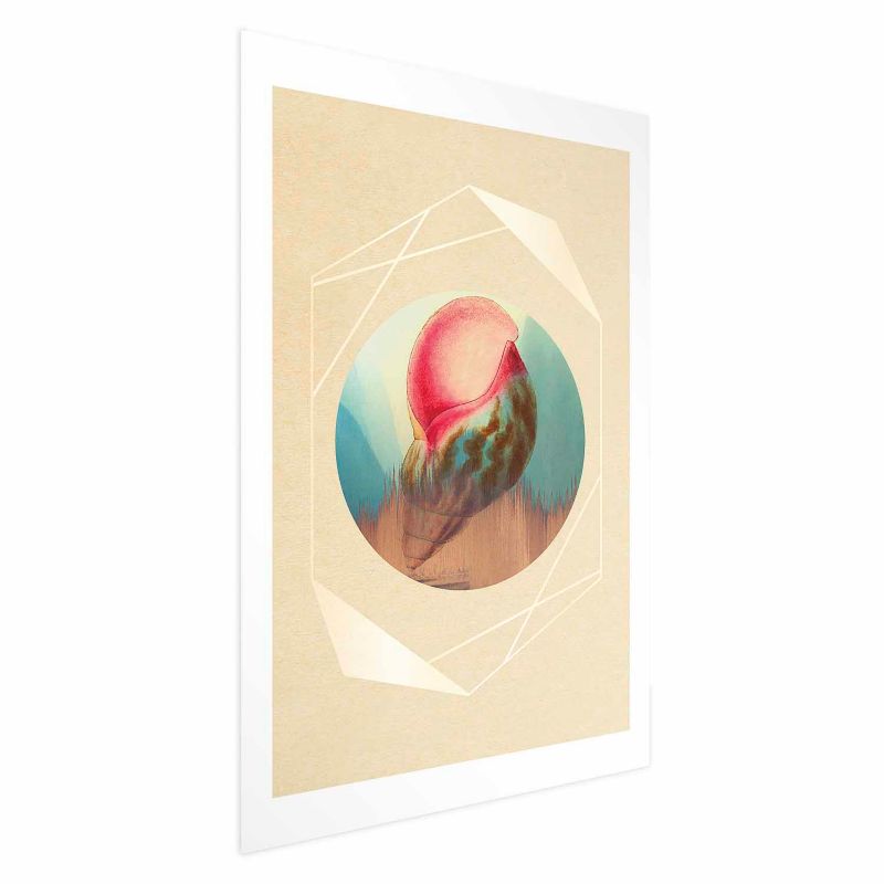 Plakat Artgeist Muszla 21x30 cm bez ramy 1 szt