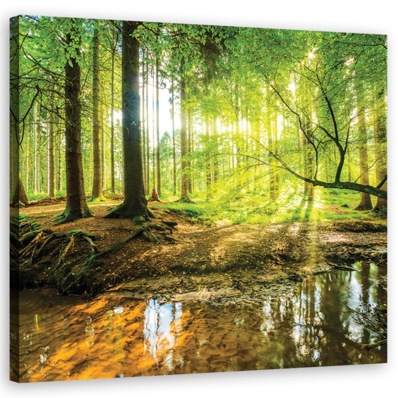 Obraz do salonu sypialni Feeby Las Jezioro Natura Zielony 40x40cm 1szt