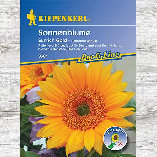 1 szt, Słonecznik ozdobny Sunrich Gold F1 - Nasiona: Ilość w opakowaniu: 1 opak