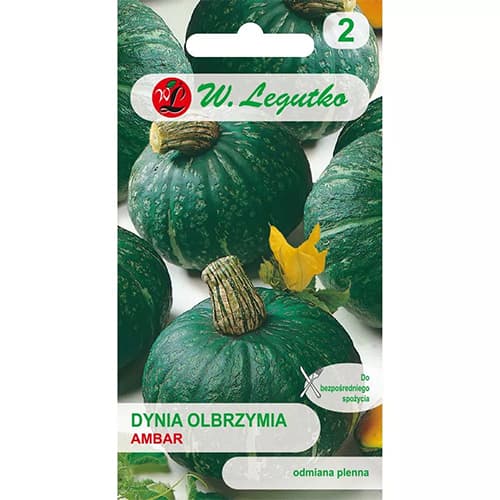 1 szt, Dynia Ambar - Nasiona: Ilość w opakowaniu: 3 g