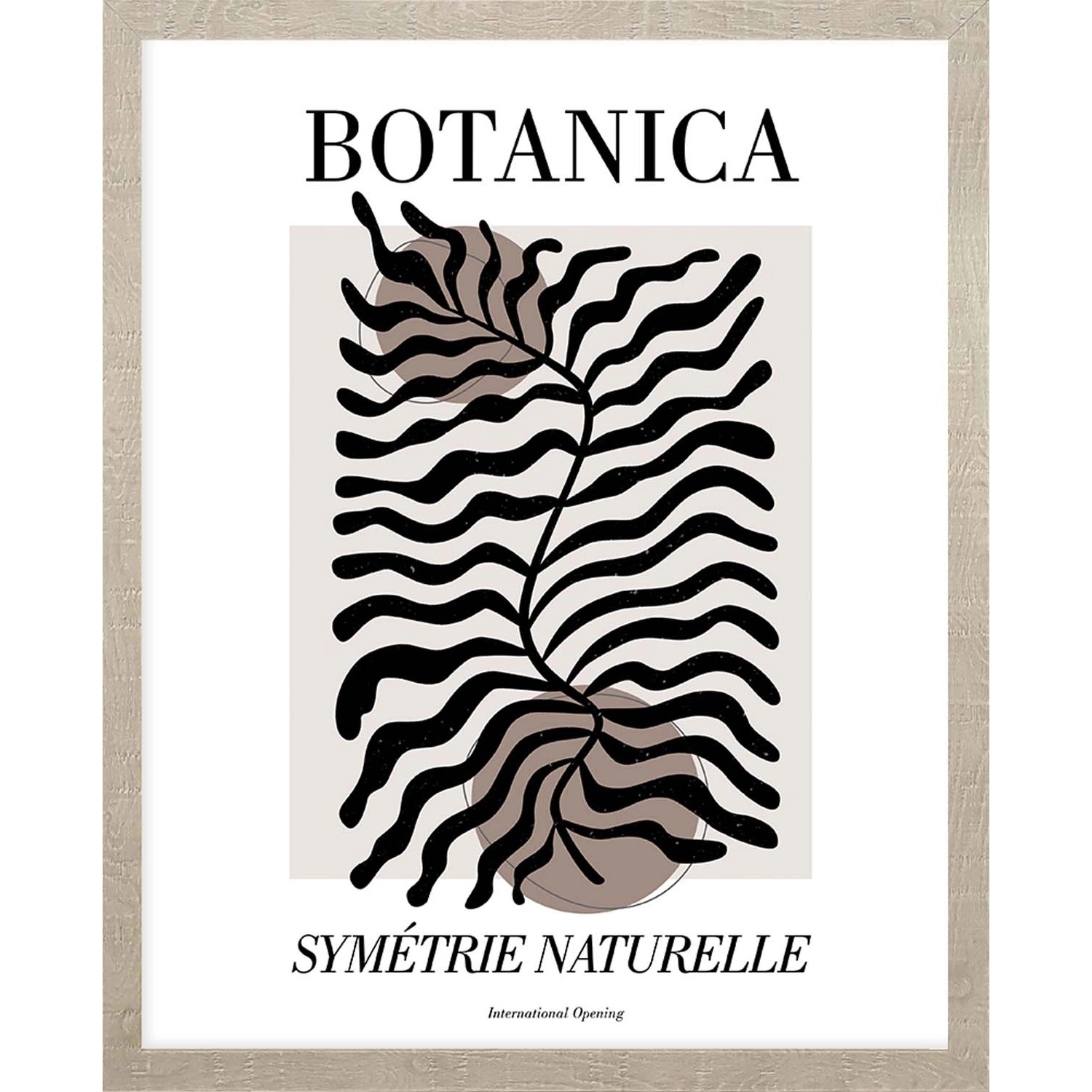 ARS LONGA Obraz SEA BOTANICAL ART 43 x 53 cm